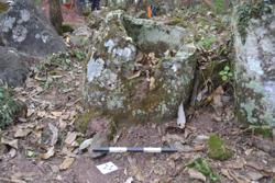 Jar 52030192 Thumbnail