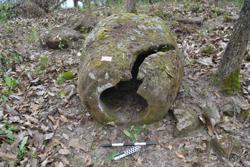 Jar 52040002 Thumbnail