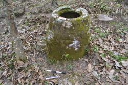 Jar 52040003 Thumbnail