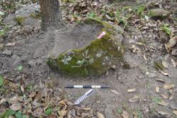 Jar 52040007 Thumbnail