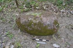 Jar 52040008 Thumbnail