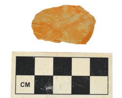 Artefact Catalogue 301 Thumbnail
