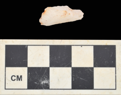 Artefact Catalogue 714 Thumbnail
