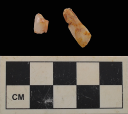 Artefact Catalogue 412 Thumbnail