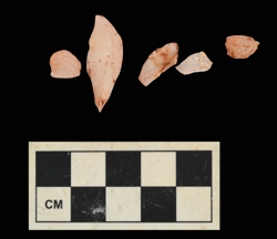Artefact Catalogue 506 Thumbnail
