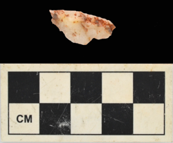 Artefact Catalogue 514 Thumbnail