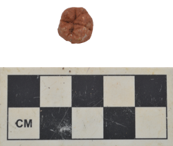 Artefact Catalogue 515 Thumbnail