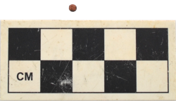 Artefact Catalogue 518 Thumbnail