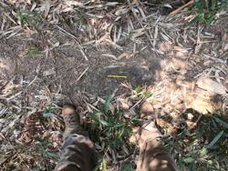 Disc 62010001 Thumbnail