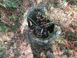 Jar 62010011 Thumbnail