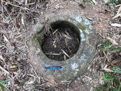 Jar 62010021 Thumbnail