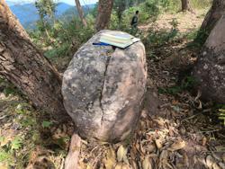 Jar 65010002 Thumbnail