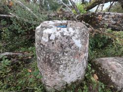 Jar 65010009 Thumbnail