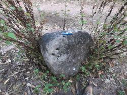 Jar 65020001 Thumbnail