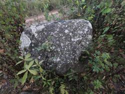 Jar 65020002 Thumbnail