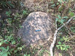 Disc 66010001 Thumbnail