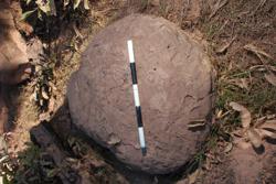 Disc 07040001 Thumbnail
