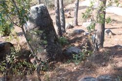 Jar 07020009 Thumbnail