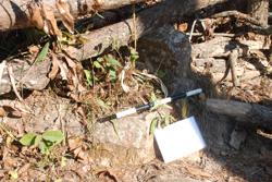 Jar 07040005 Thumbnail