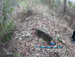 Jar 75010007 Thumbnail