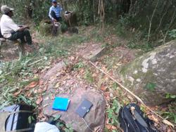 Disc 79010002 Thumbnail