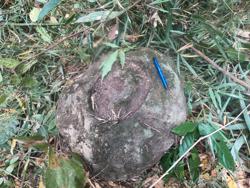 Disc 79010003 Thumbnail