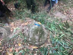 Disc 79010005 Thumbnail
