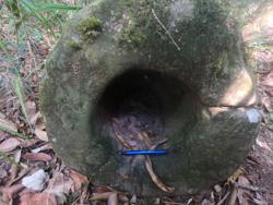 Jar 79010001 Thumbnail
