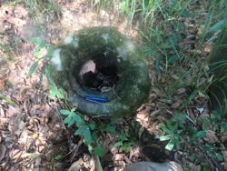 Jar 79010002 Thumbnail