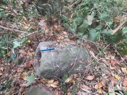 Jar 79010011 Thumbnail