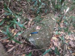 Jar 79010019 Thumbnail