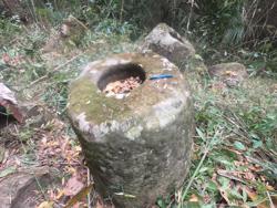 Jar 79010022 Thumbnail