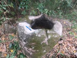 Jar 79010025 Thumbnail