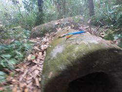 Jar 79010029 Thumbnail