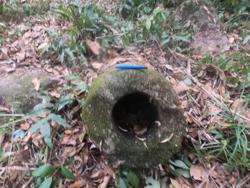 Jar 79010030 Thumbnail