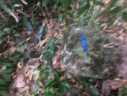 Jar 79010031 Thumbnail