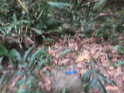 Jar 79010032 Thumbnail