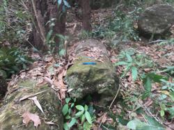 Jar 79010035 Thumbnail