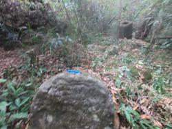 Jar 79010036 Thumbnail