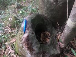 Jar 79010037 Thumbnail