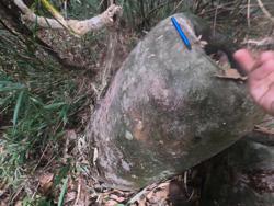Jar 79010038 Thumbnail