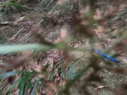 Jar 79010042 Thumbnail
