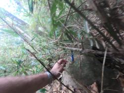 Jar 79010043 Thumbnail