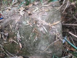 Jar 79010045 Thumbnail