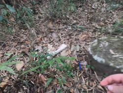 Jar 79010049 Thumbnail