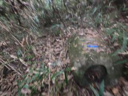 Jar 79010051 Thumbnail