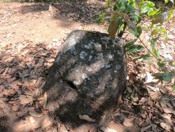 Jar 89010024 Thumbnail