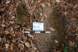 Jar 09010004 Thumbnail