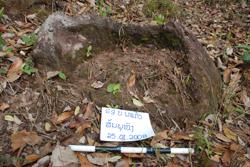 Jar 09010007 Thumbnail