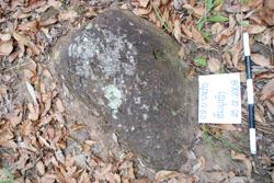Jar 09010010 Thumbnail